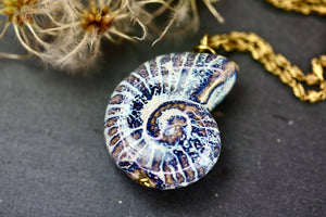 Ammonite Long Necklace