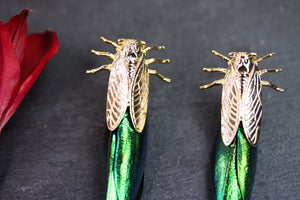 Beetle Earrings