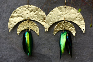 Beetle Large Statement Brass Gold Earrings