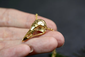 Bird Skull Necklace, Gold Filled