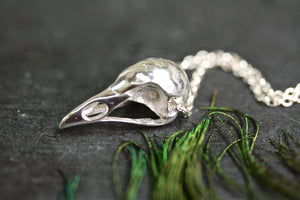 Bird skull necklace, Sterling Silver