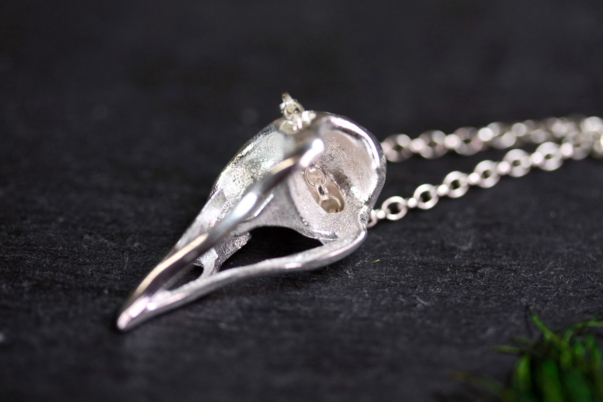 Bird 2025 skull jewelry